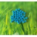 Perles Indiennes - Bleu (4g)